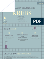 Ciclo de Krebs