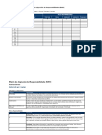 Plantilla Matriz RACI