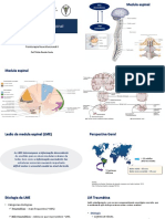 Lesao Medula Espinal - 2023