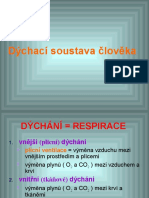 Dychaci S.