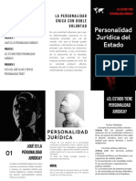 Folleto - Personalidad Jurídica Del Estado