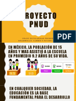 Proyecto Pnud