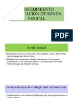 Procedimiento Colocación de Sonda Vesical - Correciones