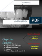 Anatomia e Escultura Dental ICS ILS