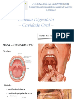 Cavidade Oral