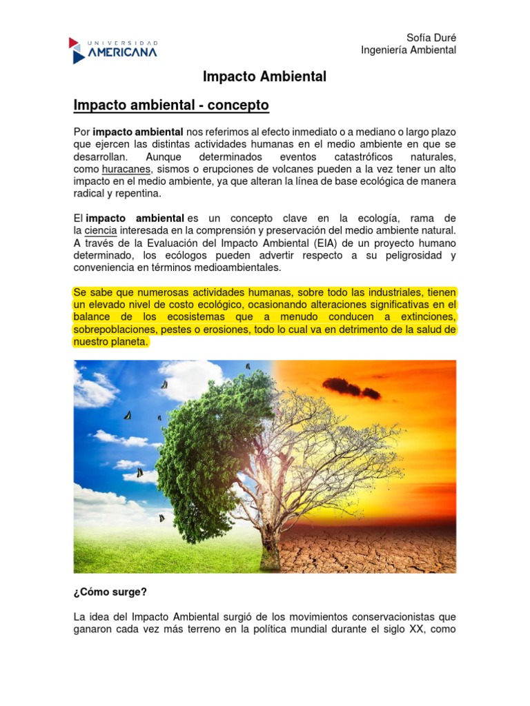 4 - Impacto Ambiental - Conceptos y Tipos | PDF | Entorno natural ...
