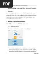 Telecom Egypt Business Trunk Accessing Solution v0.5