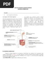 Guia Sistema Digestivo Quintos Basicos
