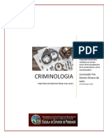 Ensayo Curso Criminologia