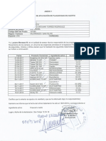 ANEXO 1 DECLARACIÓN PLAGUICIDAS