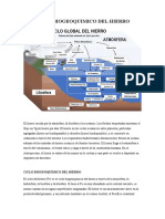 Ciclo Biogeoquimico Del Hierro