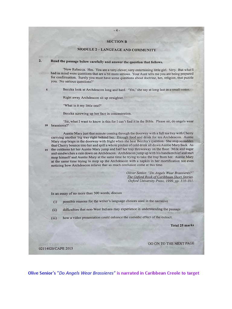 Sample Module 2 Essay Do Angels Wear Brassiers 2023 Pdf English