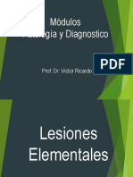 Lesiones Elementales