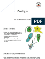Zoologia - Zootecnia - Aula2
