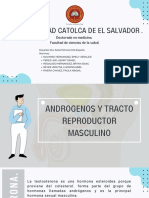 Androgenos y Tracto Reproductor Masculino