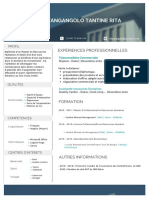 Copie de Copie de CV - PDF (1) Dakar