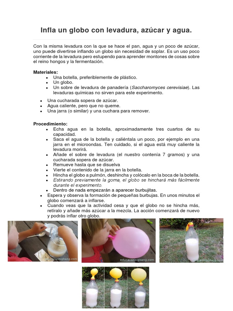Inflar un globo con levadura y azúcar | PDF | Levadura | Panes