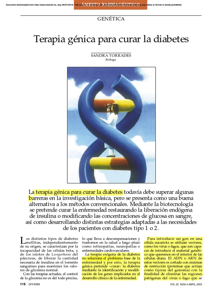 Terapia génica para curar diabetes | PDF | Insulina | Diabetes
