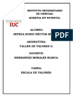 Escala de Valores HMZR