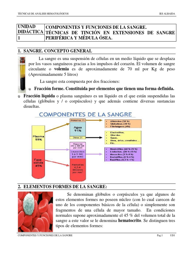 Unidad 1 Componentes Y Funciones De La Sangre Editado Pdf