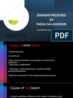 Faisal Seminar