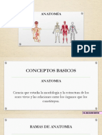 1. CONCEPTOS ANATOMIA