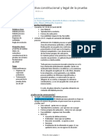 Clase 3- Perspectiva constitucional y legal de la prueba