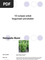 Download 10 Herba Untuk Kesihatan by yuzamri  SN6459024 doc pdf