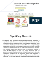 Digestión y Absorción en El Tubo Digestivo
