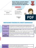 Tsa 9 - Caso Clínico 3 y Aparato Cardiovascular-Obst - Pract - Grupo #3