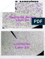 PDF 20230516 215117 0000