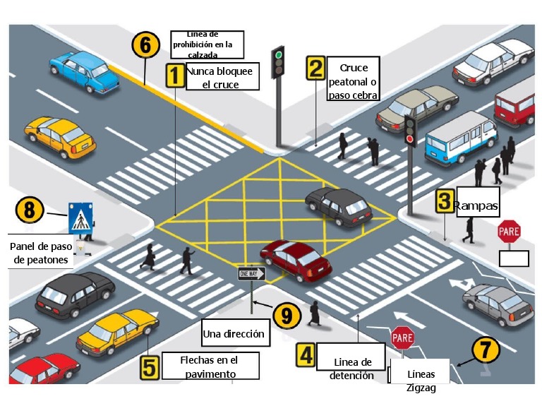 Ley De Transito Canva Pdf