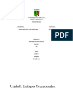 Desarrolo Unidad I - Enfoques Ocupacionales