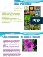 Reino Plantae