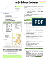 Fisiología del Sistema Endocrino y sus Hormonas