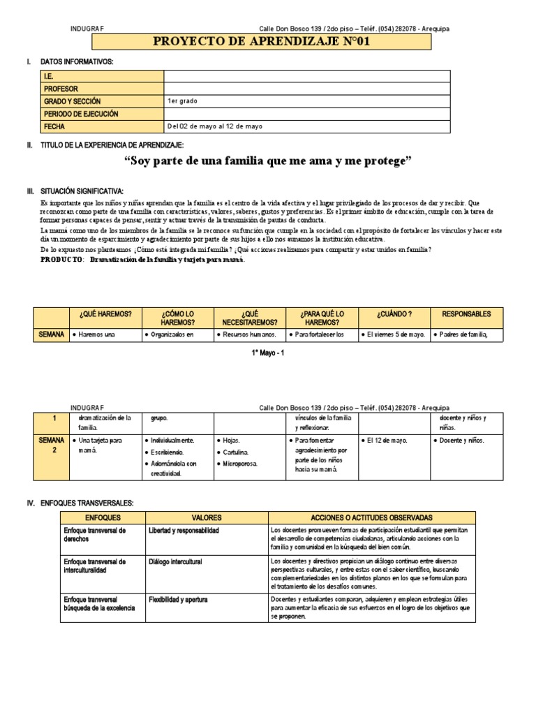 1° Grado - Proyecto de Aprendizaje N°01 | PDF | Ciencia y matemáticas
