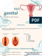 Prolapso Genital