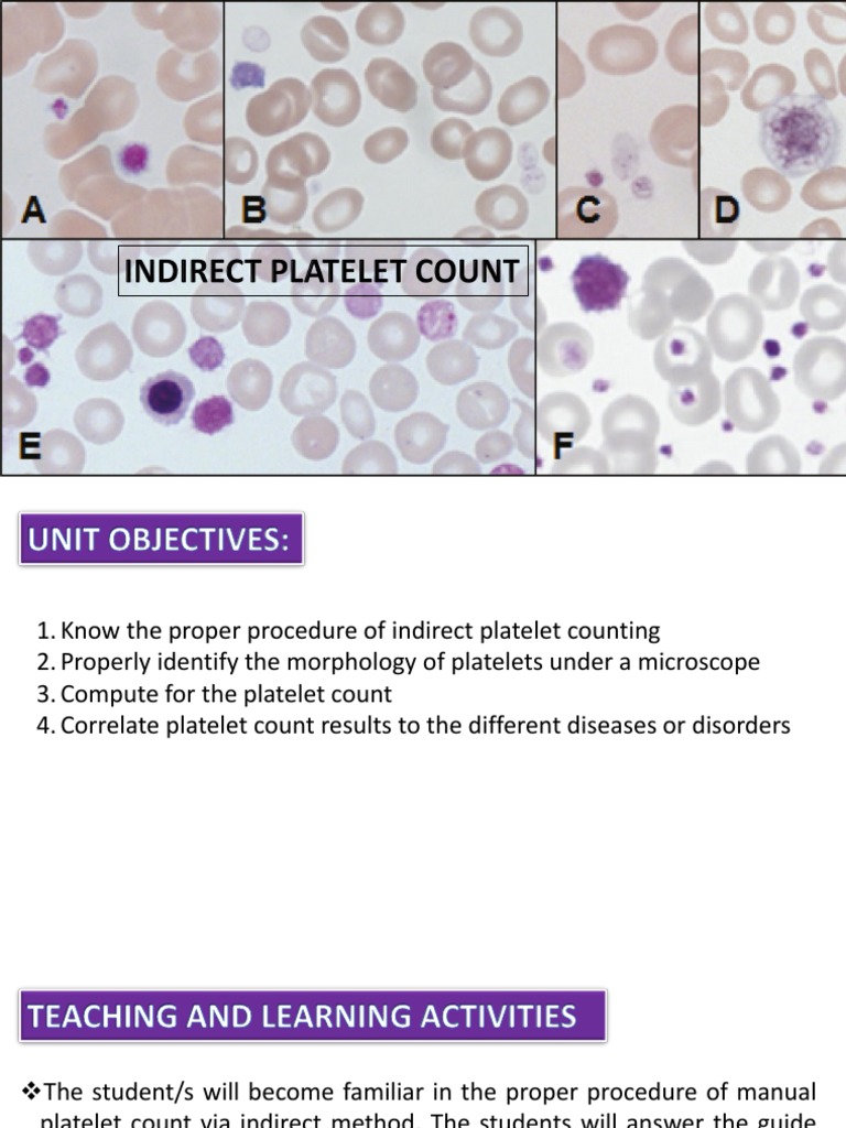 Manual Platelet Count Cat