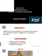 Semana 4 Lipidos y Acidos Nucleicos