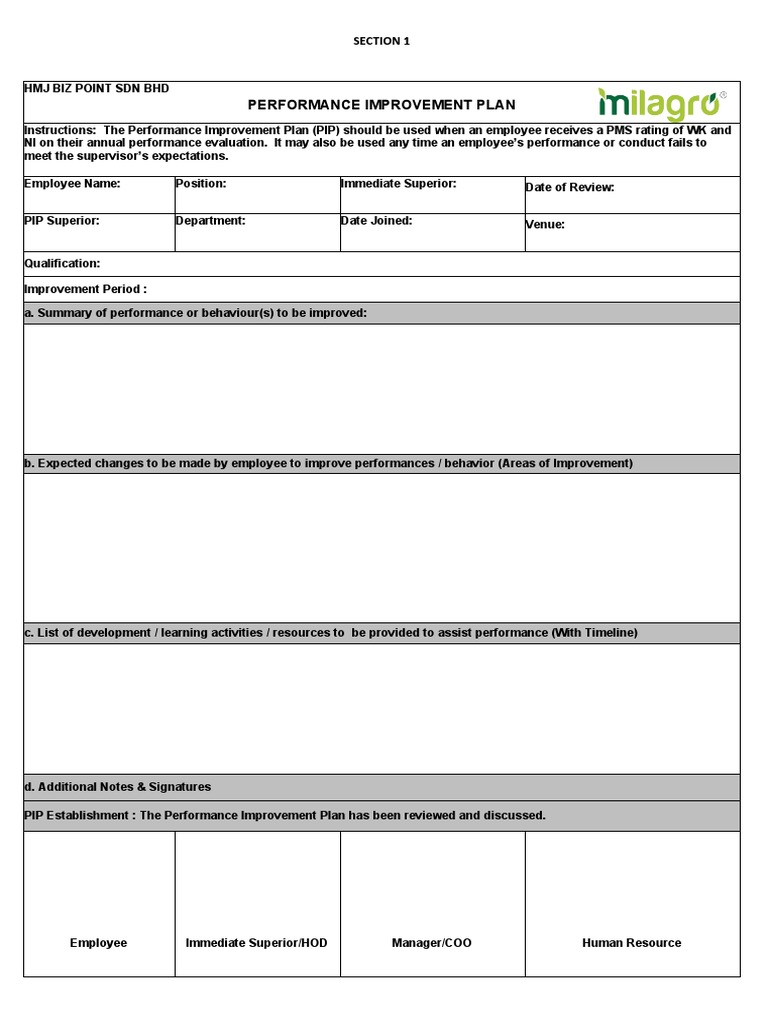 PIP Form | PDF