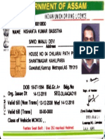 501 4-Drivinglicense - PDF