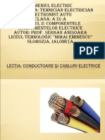 IX Componentele Echipamenteleor Electrice ProfSerbanA 1