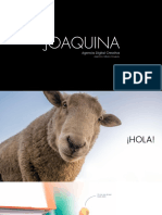 Brochure 2021 - Joaquina - Agencia de Publicidad - E-Commerce - Consultoría - México - Argentina