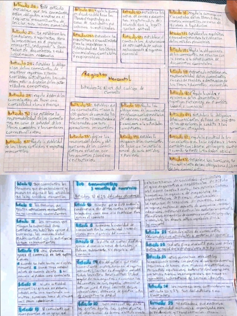 Mapas Mentales | PDF