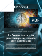 Ensayo de La Neurociencia