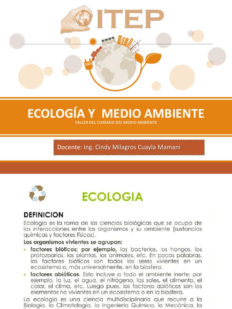 Taller de Cuidado del Medio Ambiente | PDF | Ciencia y matemáticas