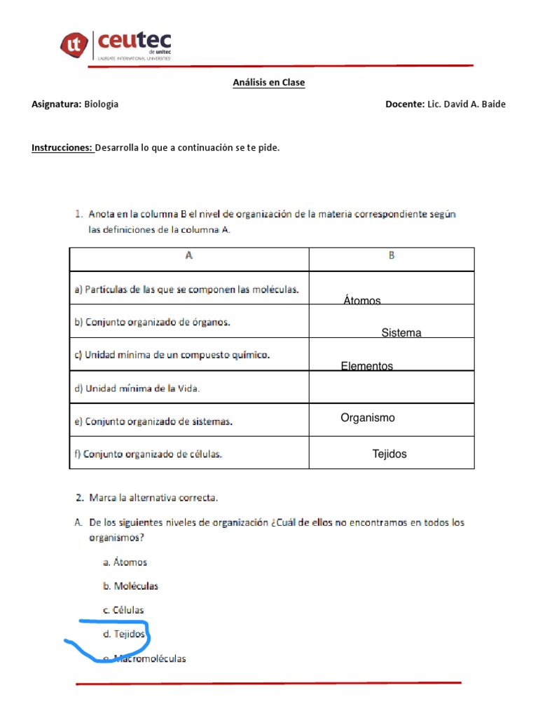 An%C3%A1lisis+en+Clase+Semana+2 | PDF