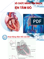 Điện Tâm Đồ: Thăm Dò Chức Năng Tim Mạch