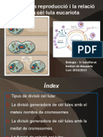 Unitat 9 - Reproducció I Relació Cel Lulars