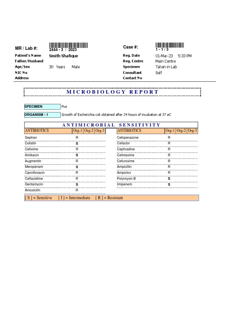 Escherichia coli Microbiology Report | PDF
